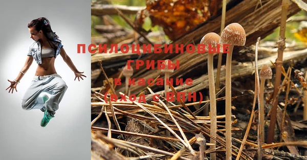 бошки Горно-Алтайск