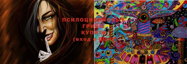 спиды Волосово
