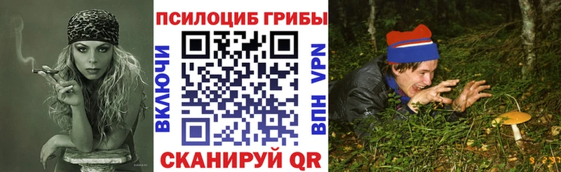 Галлюциногенные грибы ЛСД  Железноводск 
